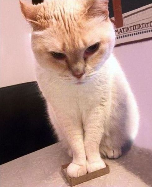 page,4,top 500 morning pics of the year 2014.html - 1 HD Photos | Premium Gallery 2014