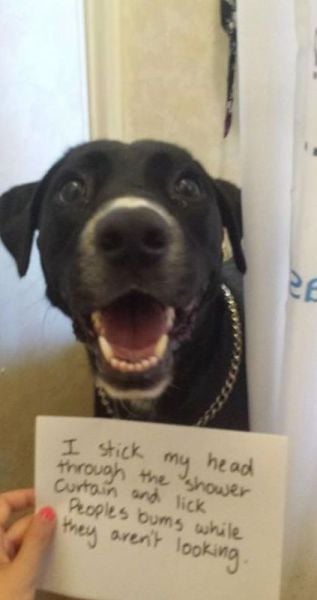 morning picdump 58 pics 30.html - 58 HD Photos | Premium Gallery 2014