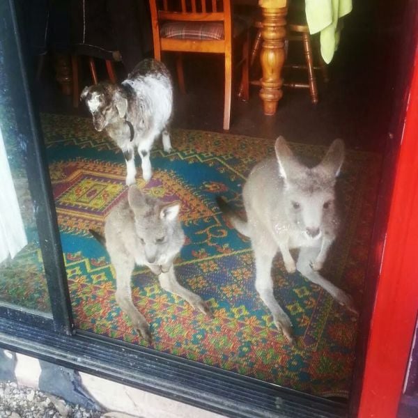 morning picdump 59 pics 51.html - 59 HD Photos | Premium Gallery 2014