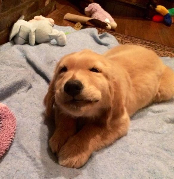 morning picdump 59 pics 51.html - 59 HD Photos | Premium Gallery 2014