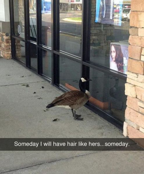 morning picdump 59 pics 51.html - 59 HD Photos | Premium Gallery 2014