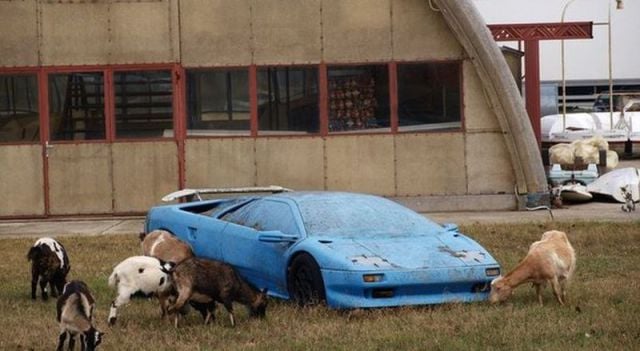 morning picdump 59 pics 51.html - 59 HD Photos | Premium Gallery 2014