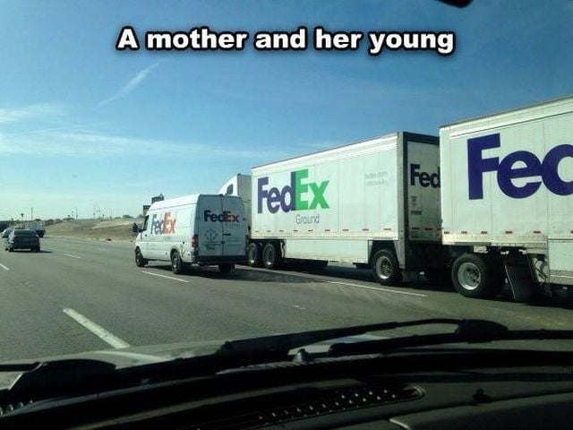 morning picdump 59 pics 51.html - 59 HD Photos | Premium Gallery 2014