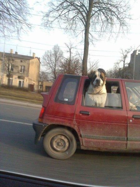 morning picdump 59 pics 51.html - 59 HD Photos | Premium Gallery 2014