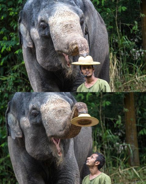 morning picdump 59 pics 51.html - 59 HD Photos | Premium Gallery 2014