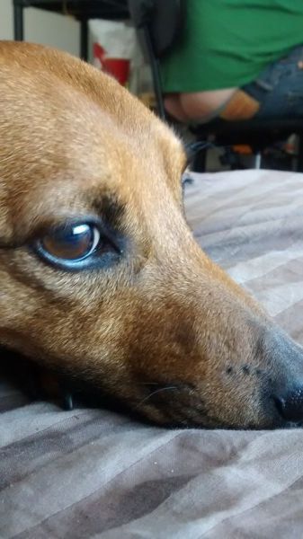 morning picdump 59 pics 51.html - 59 HD Photos | Premium Gallery 2014