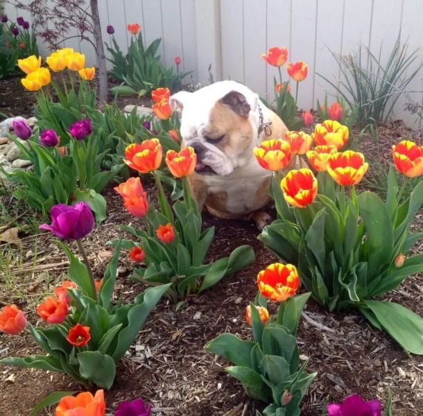 morning picdump 59 pics 51.html - 59 HD Photos | Premium Gallery 2014