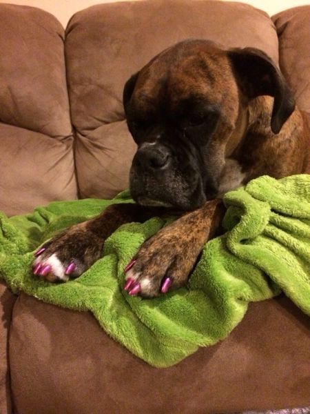 morning picdump 57 pics 10.html - 57 HD Photos | Premium Gallery 2014