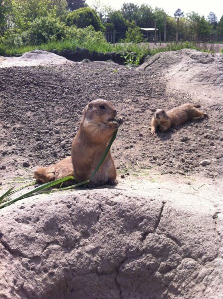 morning picdump 57 pics 10.html - 57 HD Photos | Premium Gallery 2014