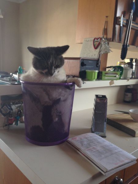 morning picdump 57 pics 10.html - 57 HD Photos | Premium Gallery 2014