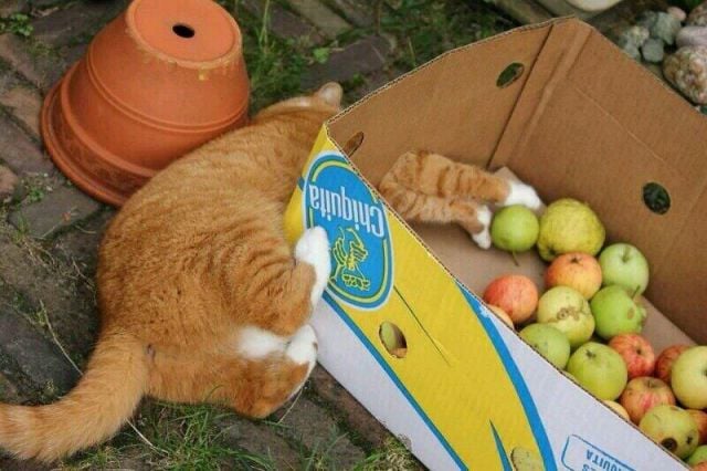 morning picdump 57 pics 10.html - 57 HD Photos | Premium Gallery 2014