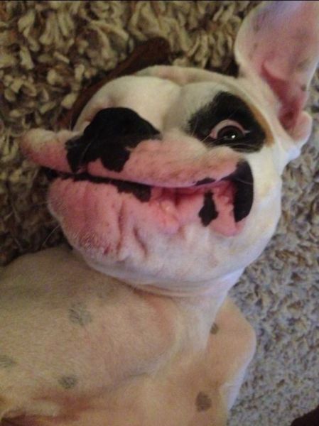 morning picdump 57 pics 10.html - 57 HD Photos | Premium Gallery 2014