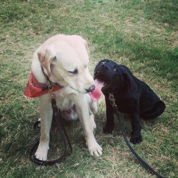 morning picdump 57 pics 10.html - 57 HD Photos | Premium Gallery 2014