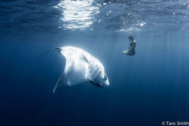 morning picdump 57 pics 10.html - 57 HD Photos | Premium Gallery 2014