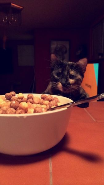 morning picdump 57 pics 10.html - 57 HD Photos | Premium Gallery 2014