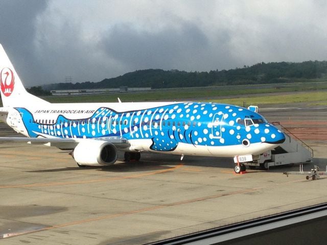 morning picdump 57 pics 10.html - 57 HD Photos | Premium Gallery 2014