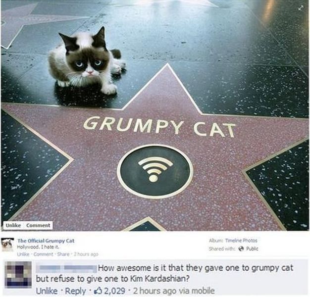 top 500 morning pics of the year 2014.html - 1 HD Photos | Premium Gallery 2014