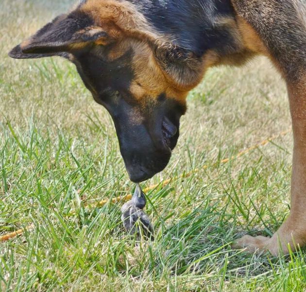 morning picdump 56 pics 11.html - 56 HD Photos | Premium Gallery 2014