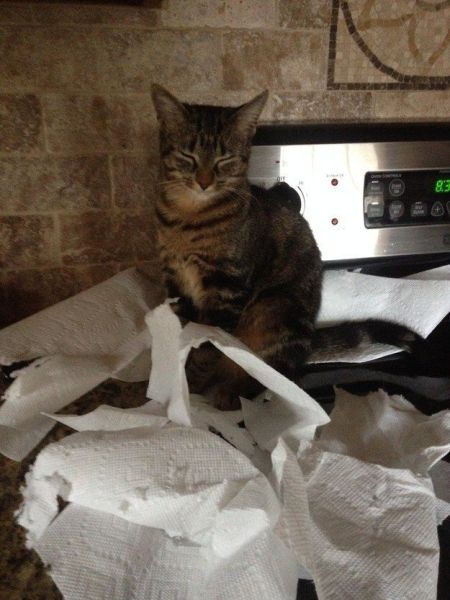 morning picdump 56 pics 11.html - 56 HD Photos | Premium Gallery 2014