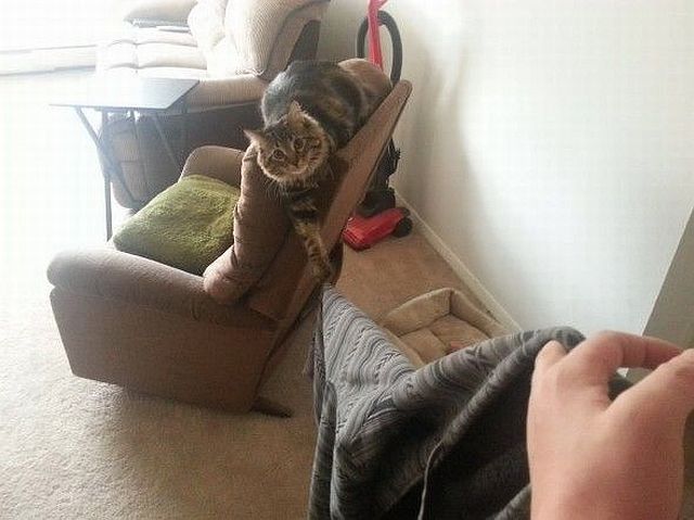 morning picdump 56 pics 41.html - 56 HD Photos | Premium Gallery 2014