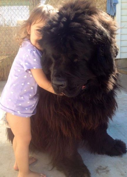 morning picdump 56 pics 41.html - 56 HD Photos | Premium Gallery 2014