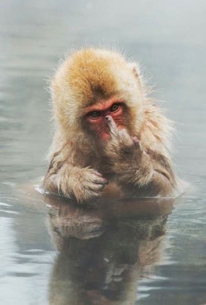 morning picdump 56 pics 41.html - 56 HD Photos | Premium Gallery 2014