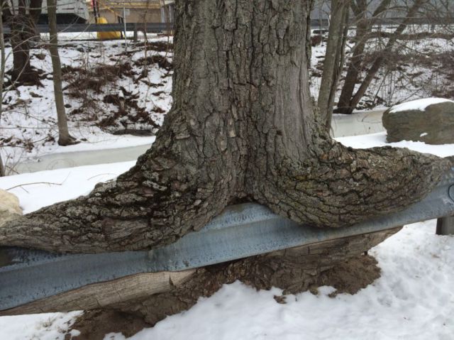 morning picdump 56 pics 41.html - 56 HD Photos | Premium Gallery 2014