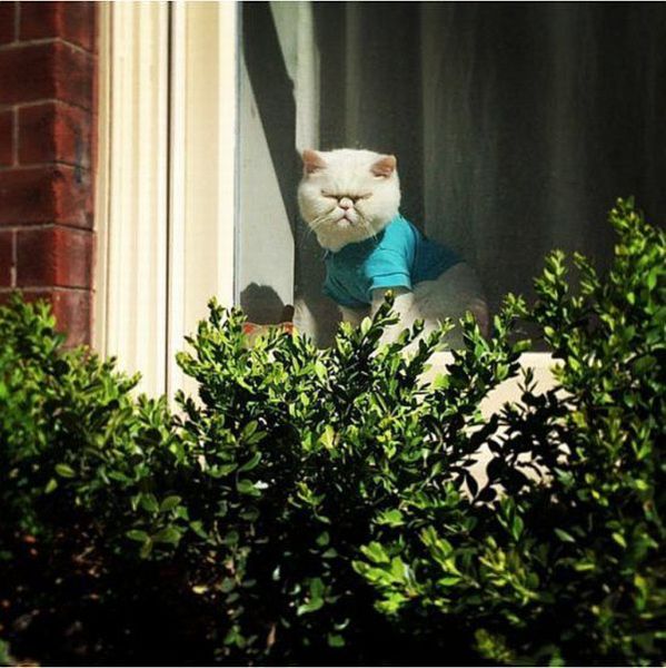 morning picdump 56 pics 41.html - 56 HD Photos | Premium Gallery 2014