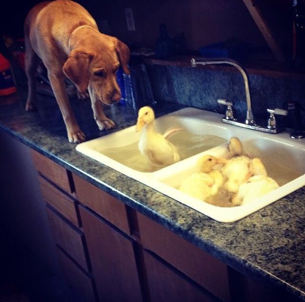 daily picdump 97 pics 21.html - 97 HD Photos | Premium Gallery 2014