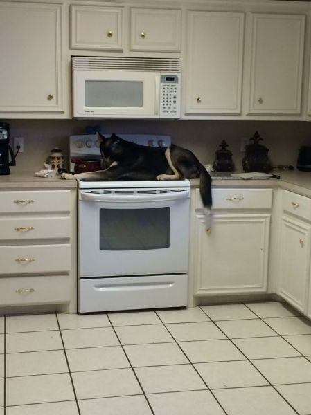 daily picdump 97 pics 21.html - 97 HD Photos | Premium Gallery 2014