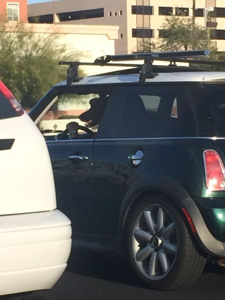 daily picdump 97 pics 21.html - 97 HD Photos | Premium Gallery 2014