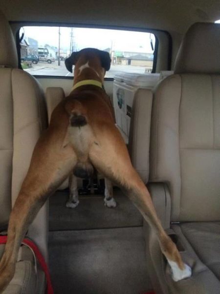 daily picdump 97 pics 21.html - 97 HD Photos | Premium Gallery 2014