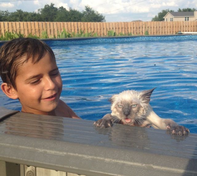 daily picdump 97 pics 21.html - 97 HD Photos | Premium Gallery 2014