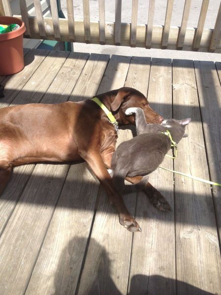 daily picdump 97 pics 21.html - 97 HD Photos | Premium Gallery 2014