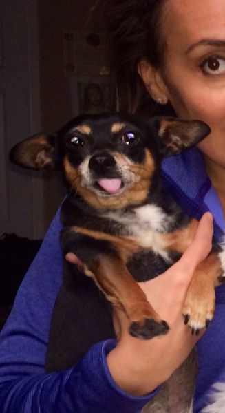 daily picdump 97 pics 21.html - 97 HD Photos | Premium Gallery 2014