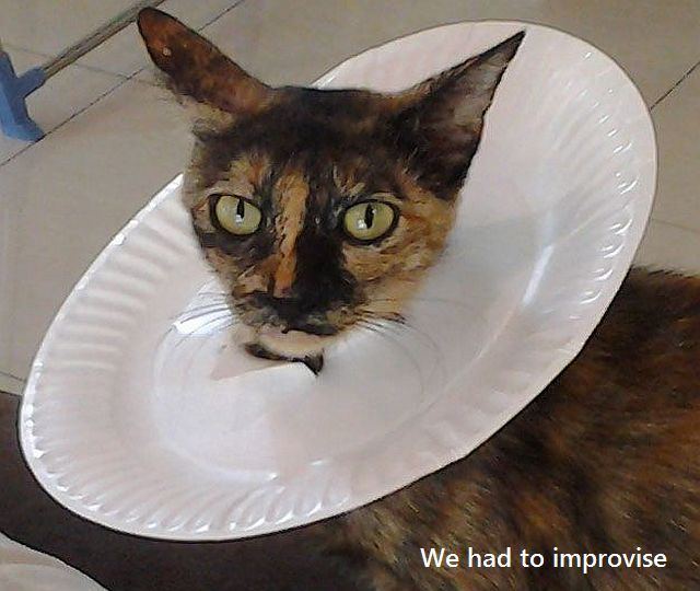 daily picdump 97 pics 21.html - 97 HD Photos | Premium Gallery 2014