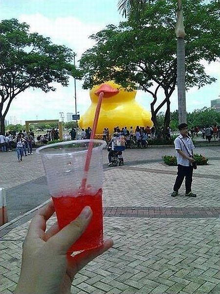 morning picdump 58 pics 38.html - 58 HD Photos | Premium Gallery 2014