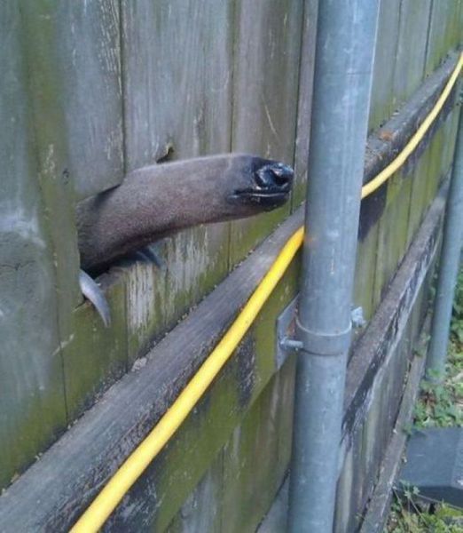 morning picdump 58 pics 38.html - 58 HD Photos | Premium Gallery 2014