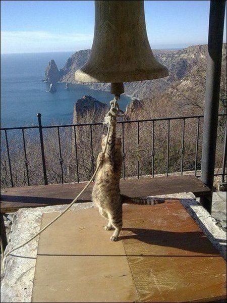 morning picdump 58 pics 38.html - 58 HD Photos | Premium Gallery 2014