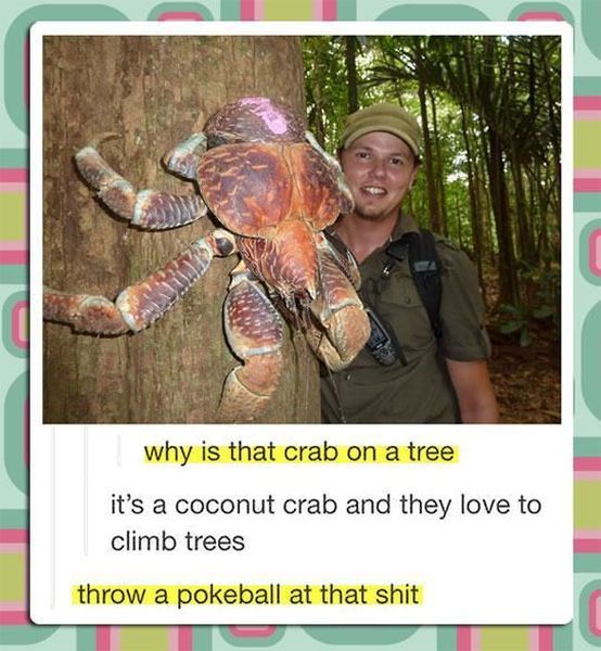 morning picdump 58 pics 38.html - 58 HD Photos | Premium Gallery 2014