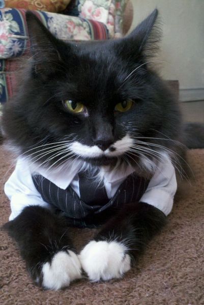 morning picdump 58 pics 38.html - 58 HD Photos | Premium Gallery 2014