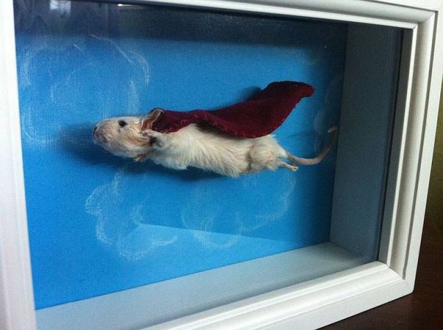 morning picdump 58 pics 38.html - 58 HD Photos | Premium Gallery 2014