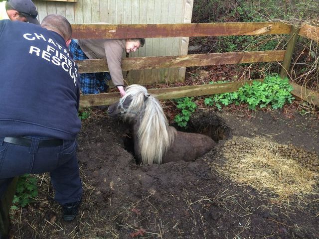 morning picdump 58 pics 38.html - 58 HD Photos | Premium Gallery 2014