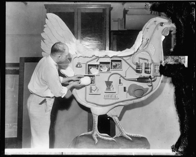 morning picdump 59 pics 32.html - 59 HD Photos | Premium Gallery 2014