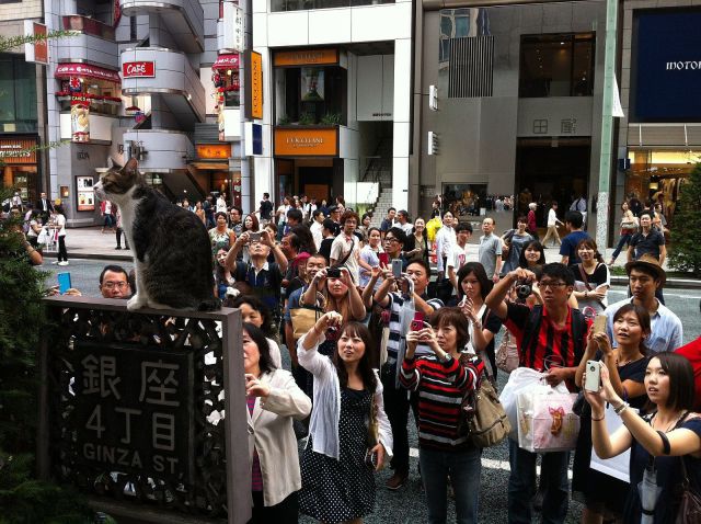 morning picdump 59 pics 32.html - 59 HD Photos | Premium Gallery 2014