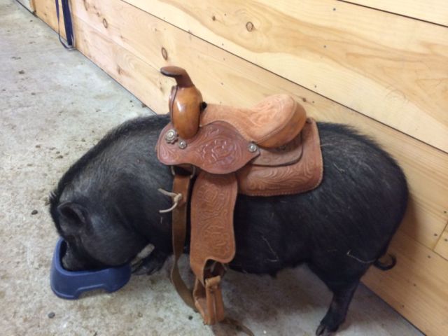 morning picdump 59 pics 32.html - 59 HD Photos | Premium Gallery 2014