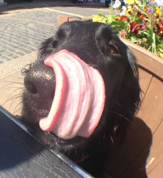 morning picdump 59 pics 32.html - 59 HD Photos | Premium Gallery 2014