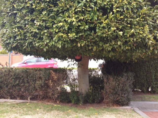 morning picdump 59 pics 32.html - 59 HD Photos | Premium Gallery 2014