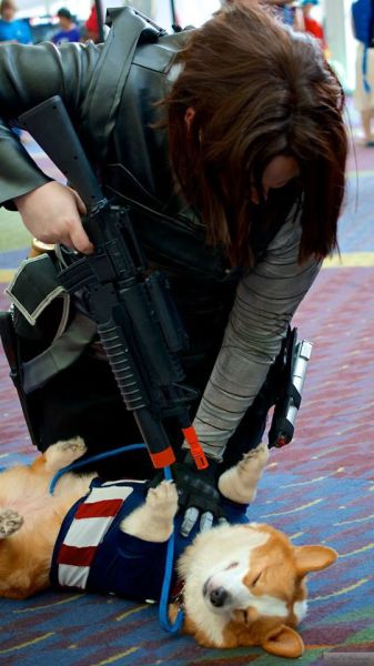 morning picdump 59 pics 32.html - 59 HD Photos | Premium Gallery 2014