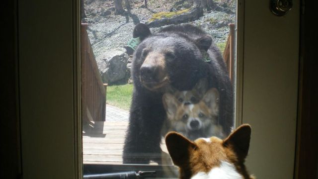 morning picdump 59 pics 32.html - 59 HD Photos | Premium Gallery 2014